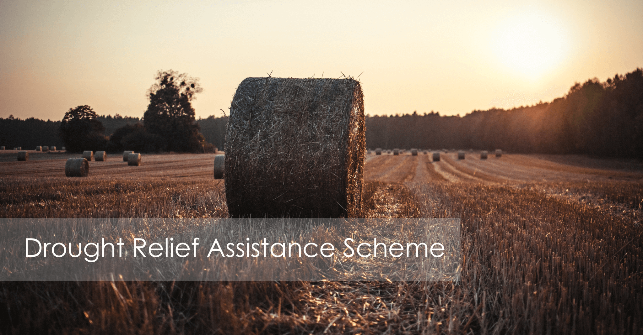 Read more about the article Drought Relief Assistance Scheme