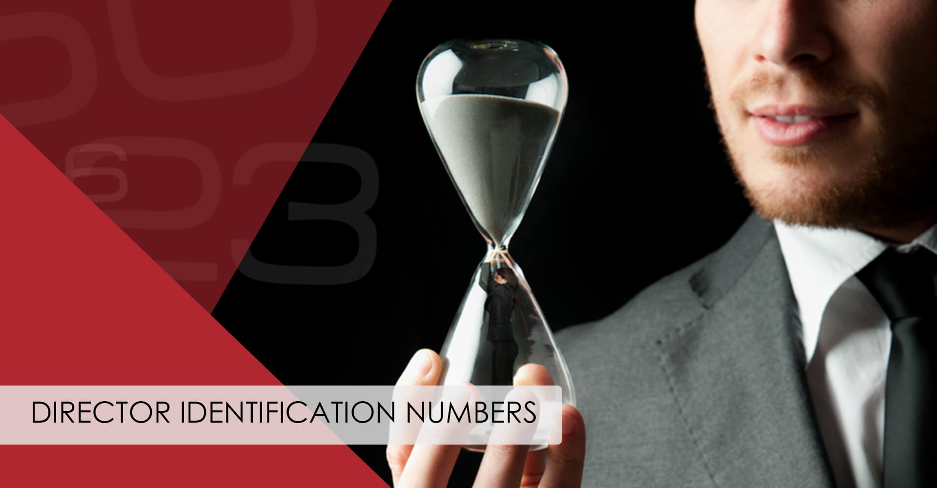 Read more about the article Director Identification Numbers