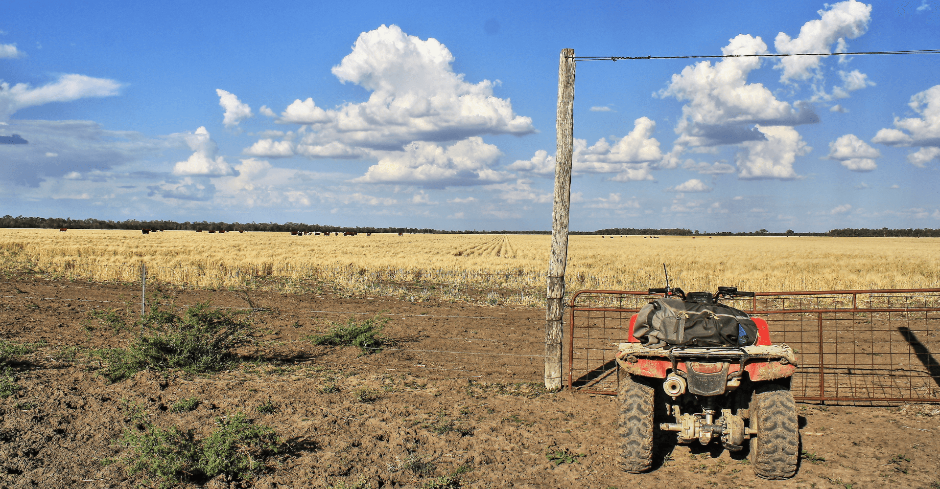 Read more about the article NSW Farmers – $2,000 Quad Bike Safety Rebate