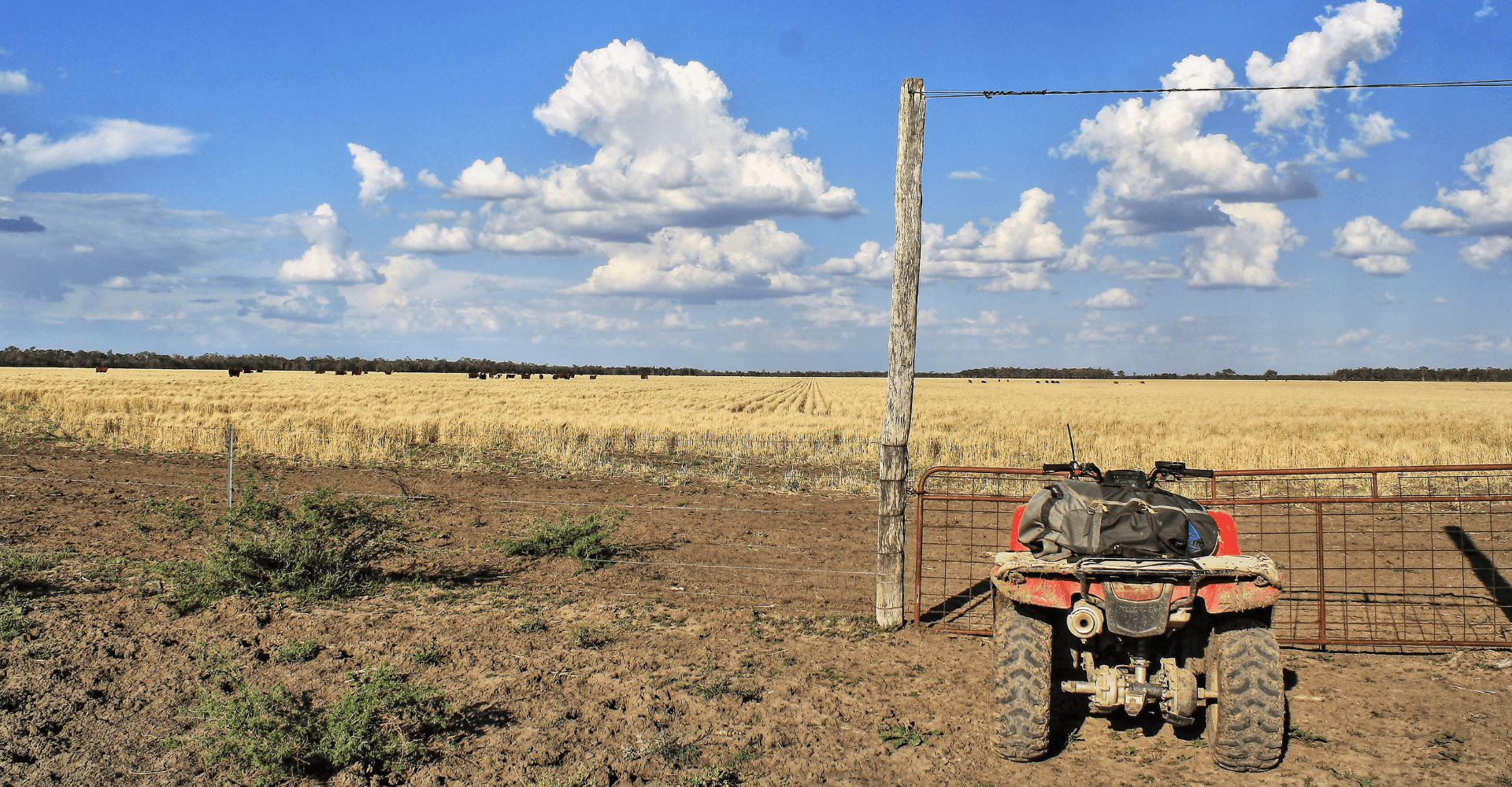 NSW Farmers 2 000 Quad Bike Safety Rebate Hall Chadwick Queensland